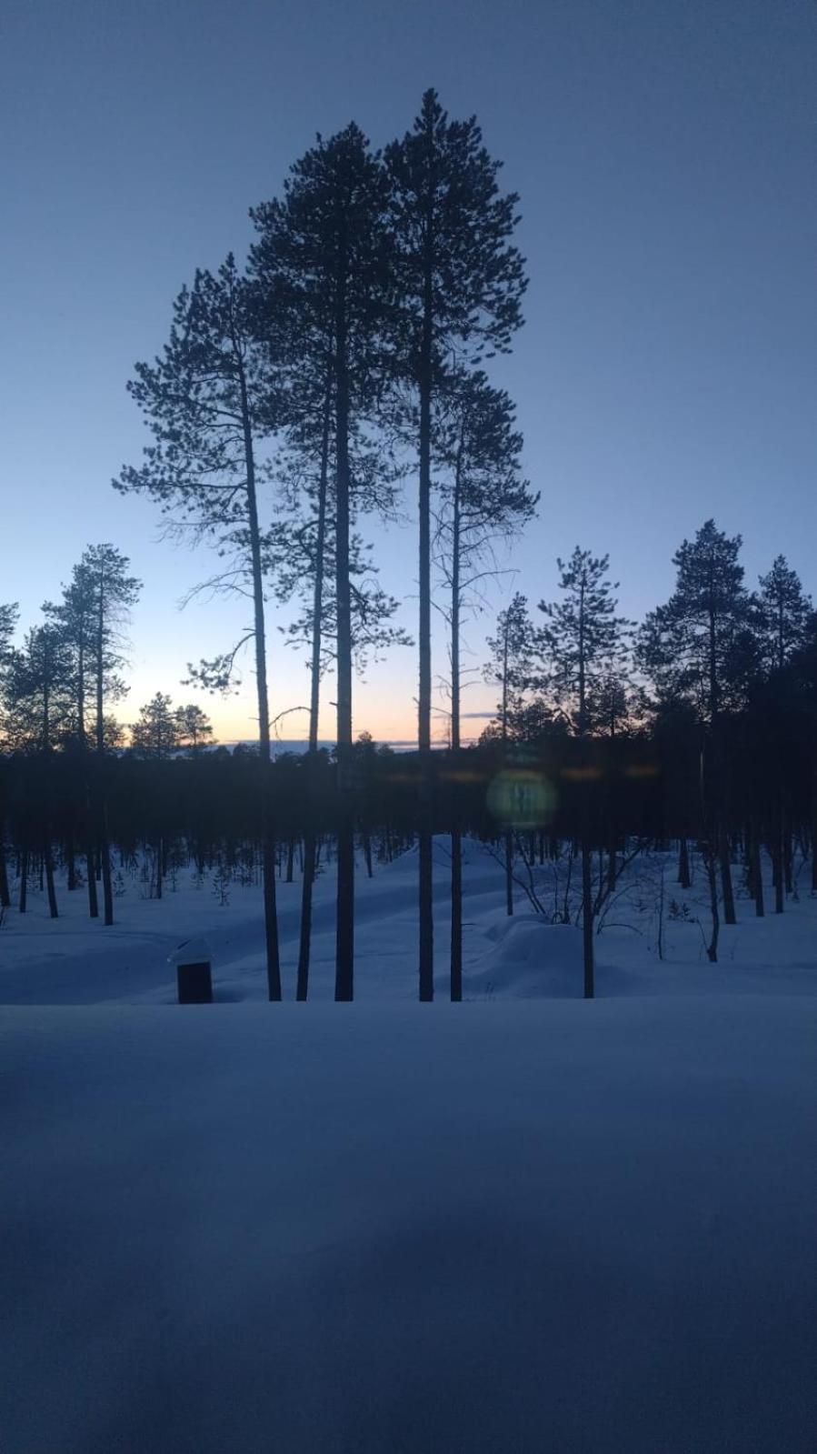 Villa Lusma Inari Exterior foto